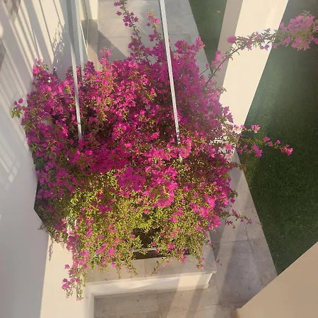 Panzió Slowersilia Lido di Camaiore